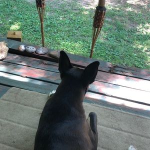 Meet your Posher, Melissa